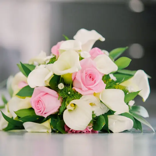 Photographe mariage Saint-Marcel-sur-Aude